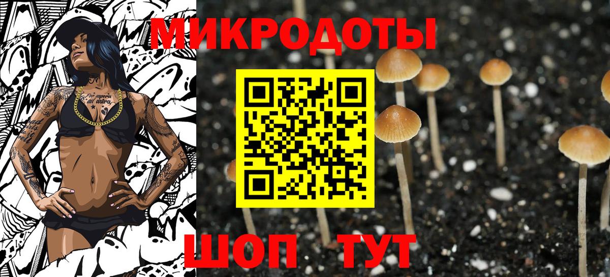 Арзамас  Галлюциногенные грибы мицелий  Вход с VPN 